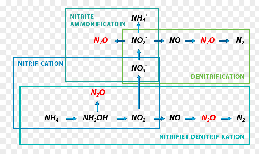 Simultaneous Nitrification–denitrification Denitrifying Bacteria Nitrous Oxide PNG