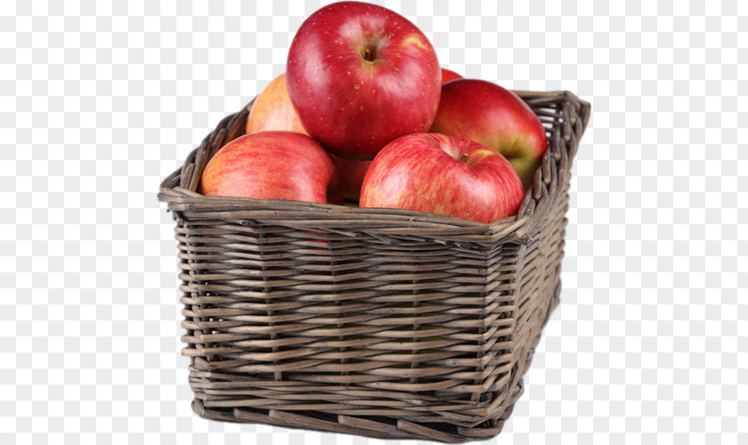 Apple The Basket Of Apples Savior Feast Day PNG