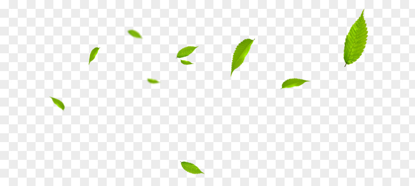 Falling Leaves PNG leaves clipart PNG