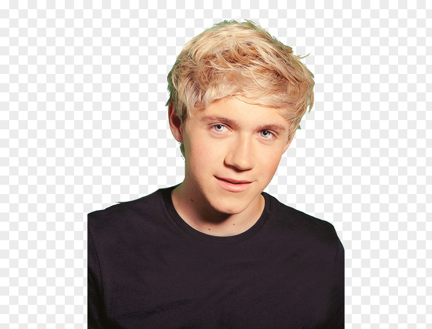One Direction Niall Horan Crying Blond Sadness PNG