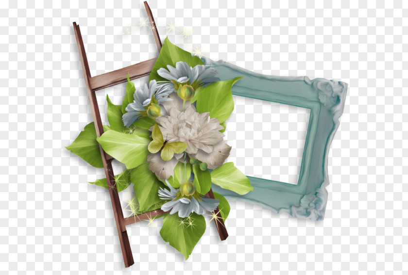 Photography Molding Cut Flowers Picture Frames Floral Design Clip Art PNG