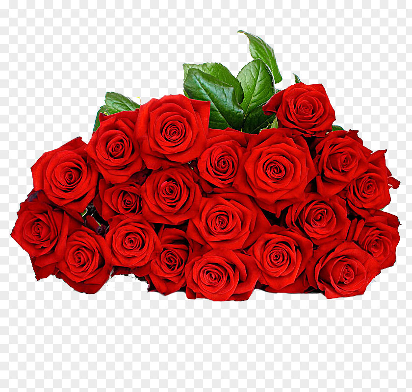 Rose Stock Photography Red Royalty-free PNG