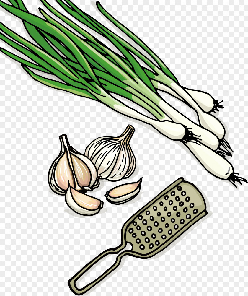 Breaking The Garlic Vegetable PNG