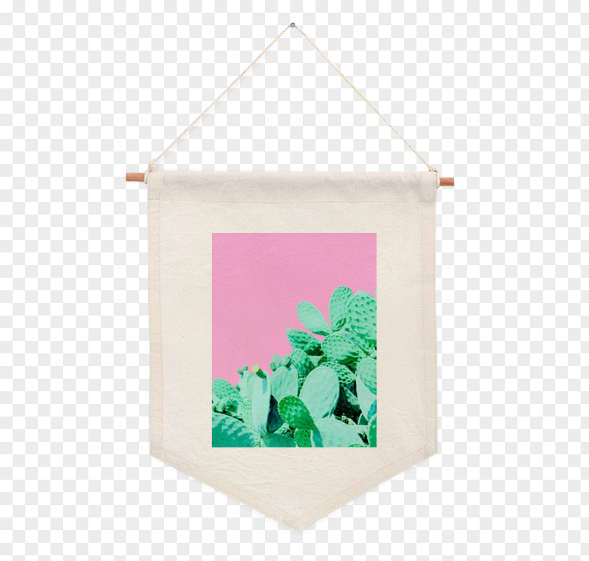 Cactus Picture Frames PNG