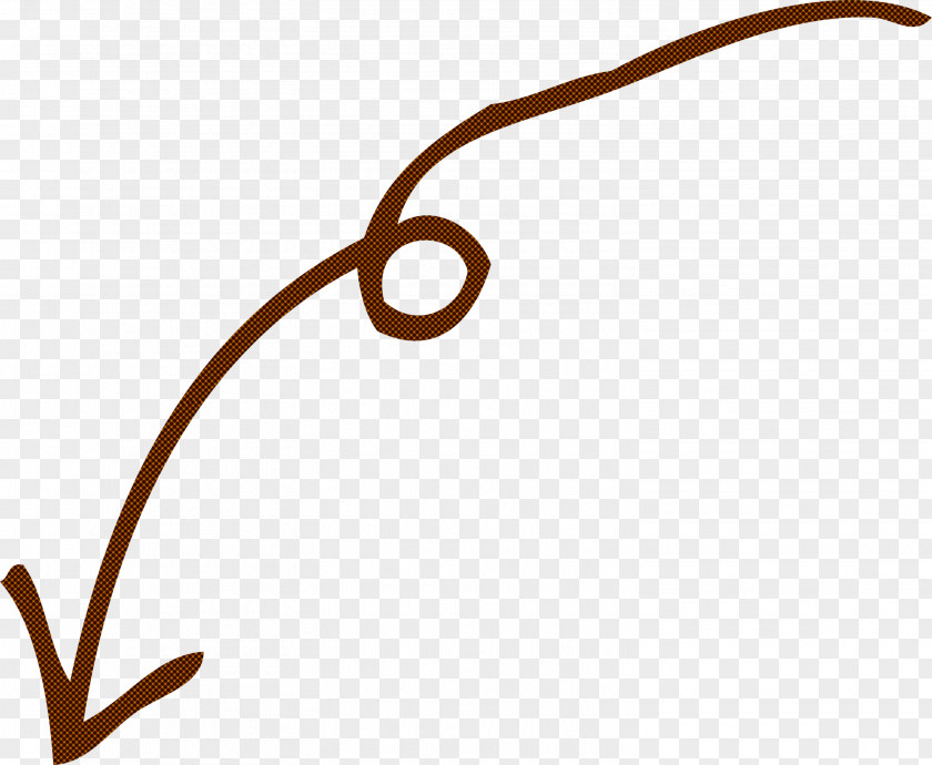 Curved Arrow PNG