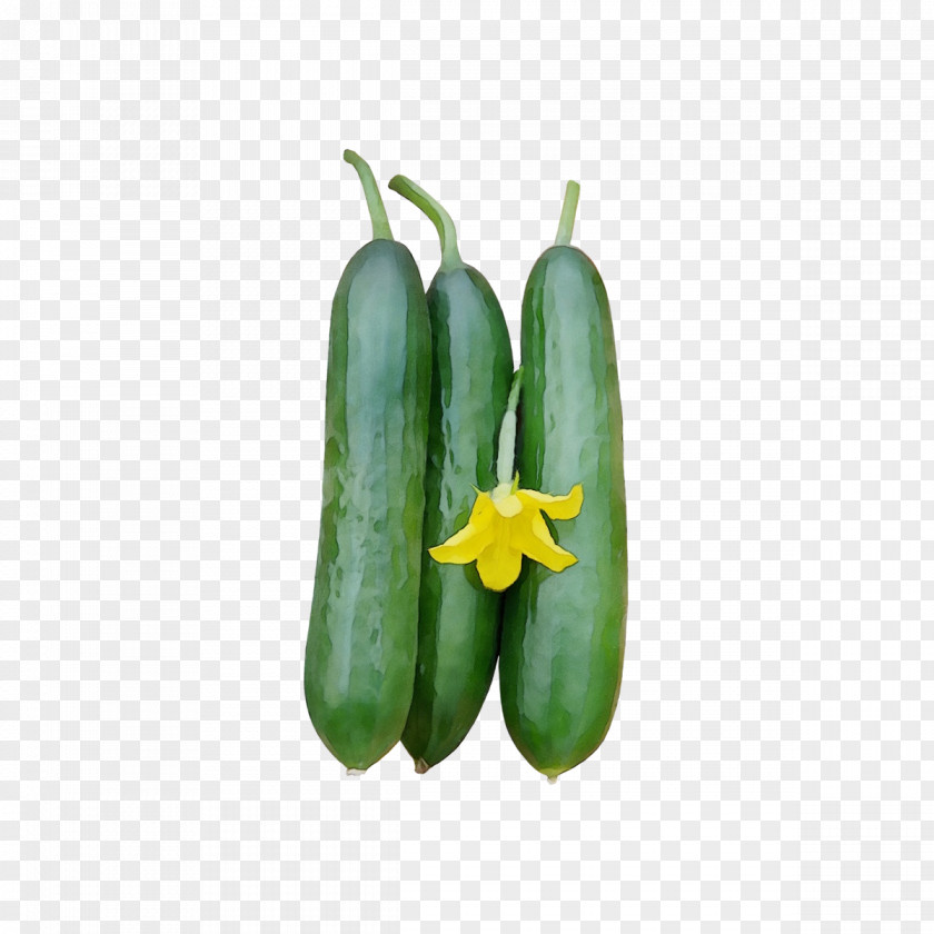 Flower Food Flowering Plant Vegetable Bell Peppers And Chili Yellow PNG