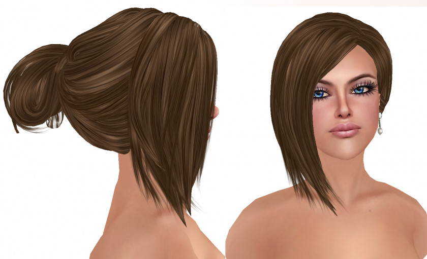 Hair Hairstyle Brown Long Coloring PNG