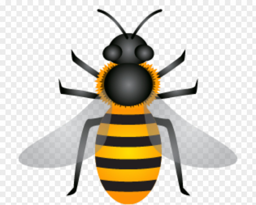 Natural Bee Venom Honey Euclidean Vector Apis Florea PNG
