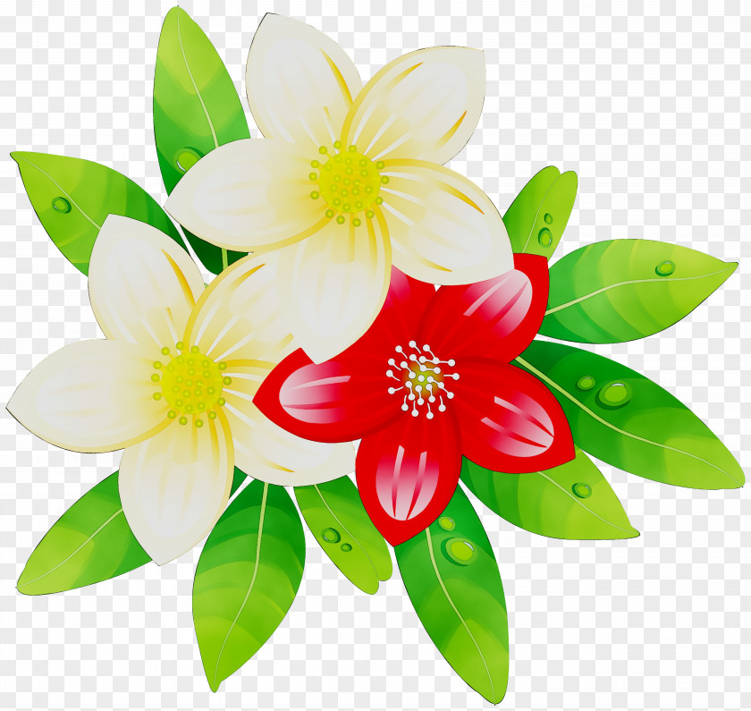 Petal Floristry Cut Flowers Flowering Plant PNG