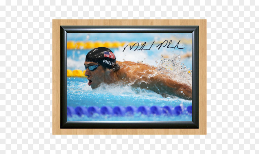 Swimming Poster At The Summer Olympics Olympic Games FINA World Championships Sport PNG