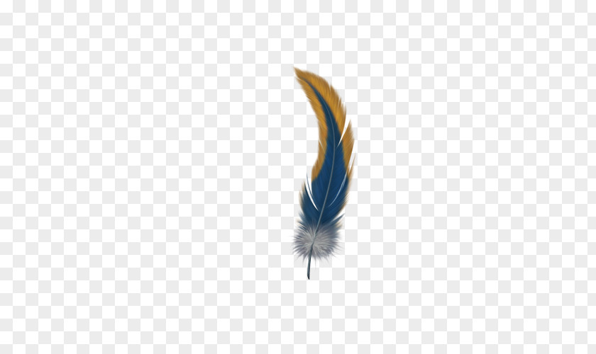 Colored Feathers Feather Computer Wallpaper PNG