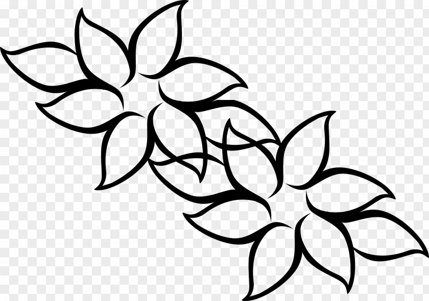 Drawing Flower Rose Clip Art PNG