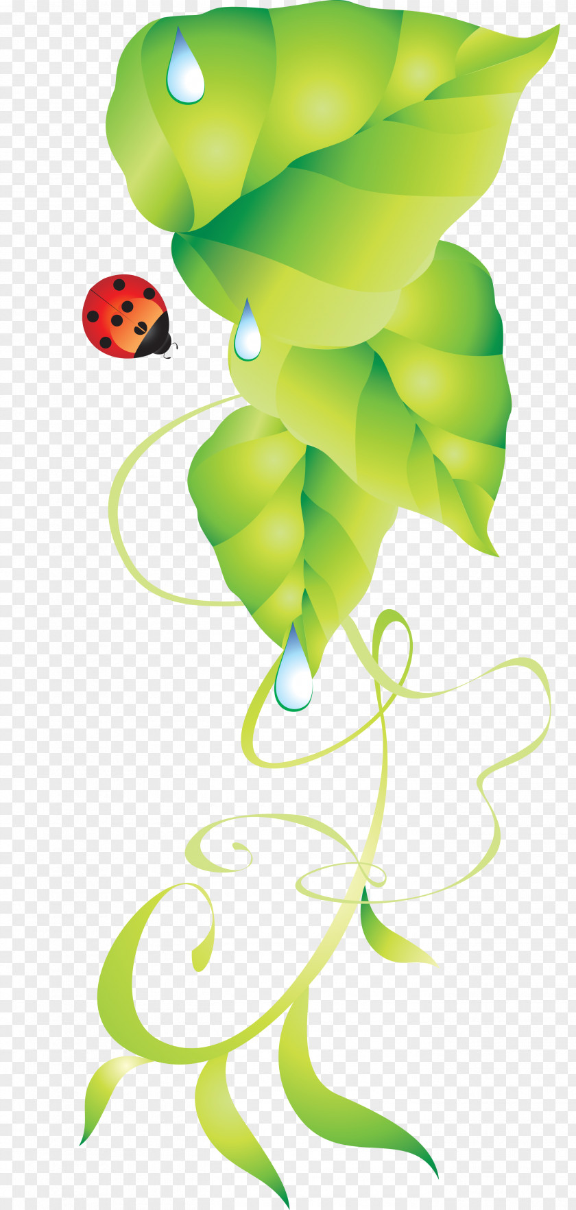 Green Leaves Insect Clip Art PNG