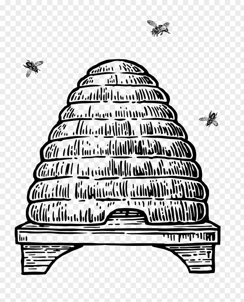 Honey Bee Hive Vector Material Beehive Drawing PNG