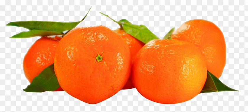 Orange Tangerine Fruit PNG