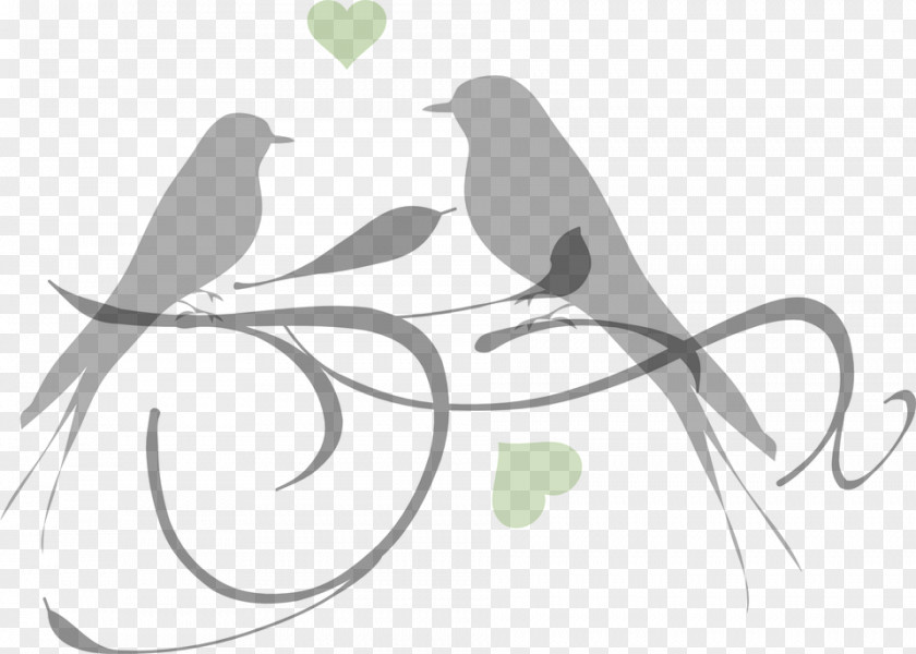 Parrot Clip Art Lovebird PNG