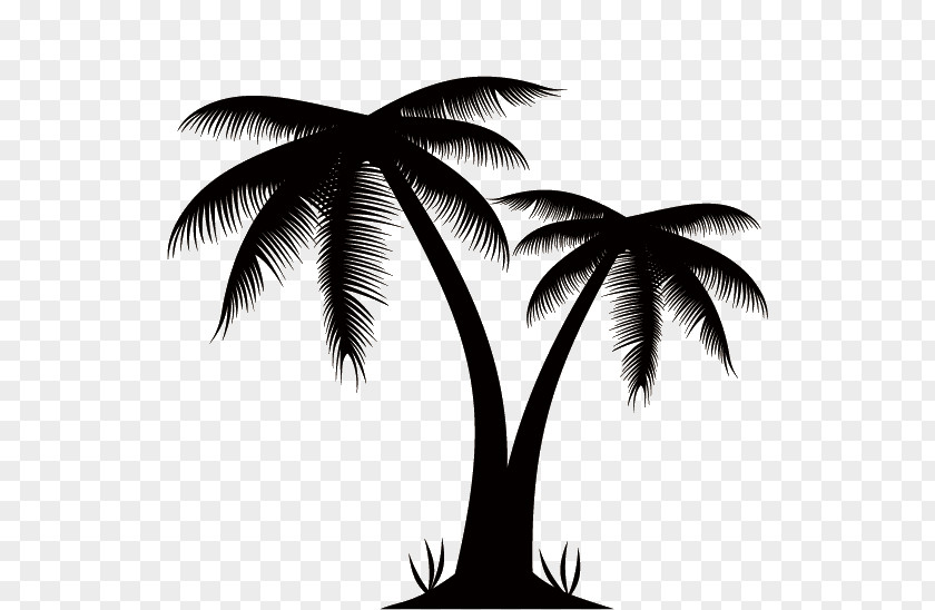 Silhouettes Of Palm Trees Arecaceae Euclidean Vector Stock Photography Clip Art PNG