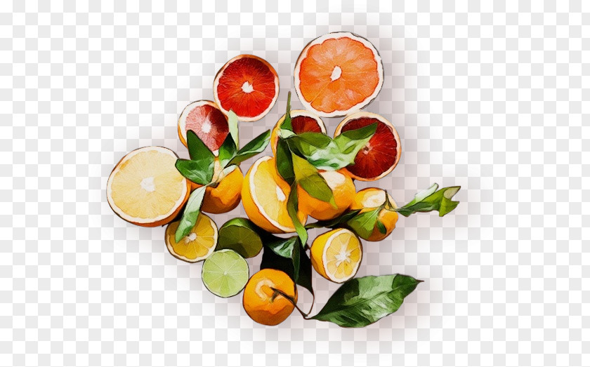 Superfood Garnish Orange PNG