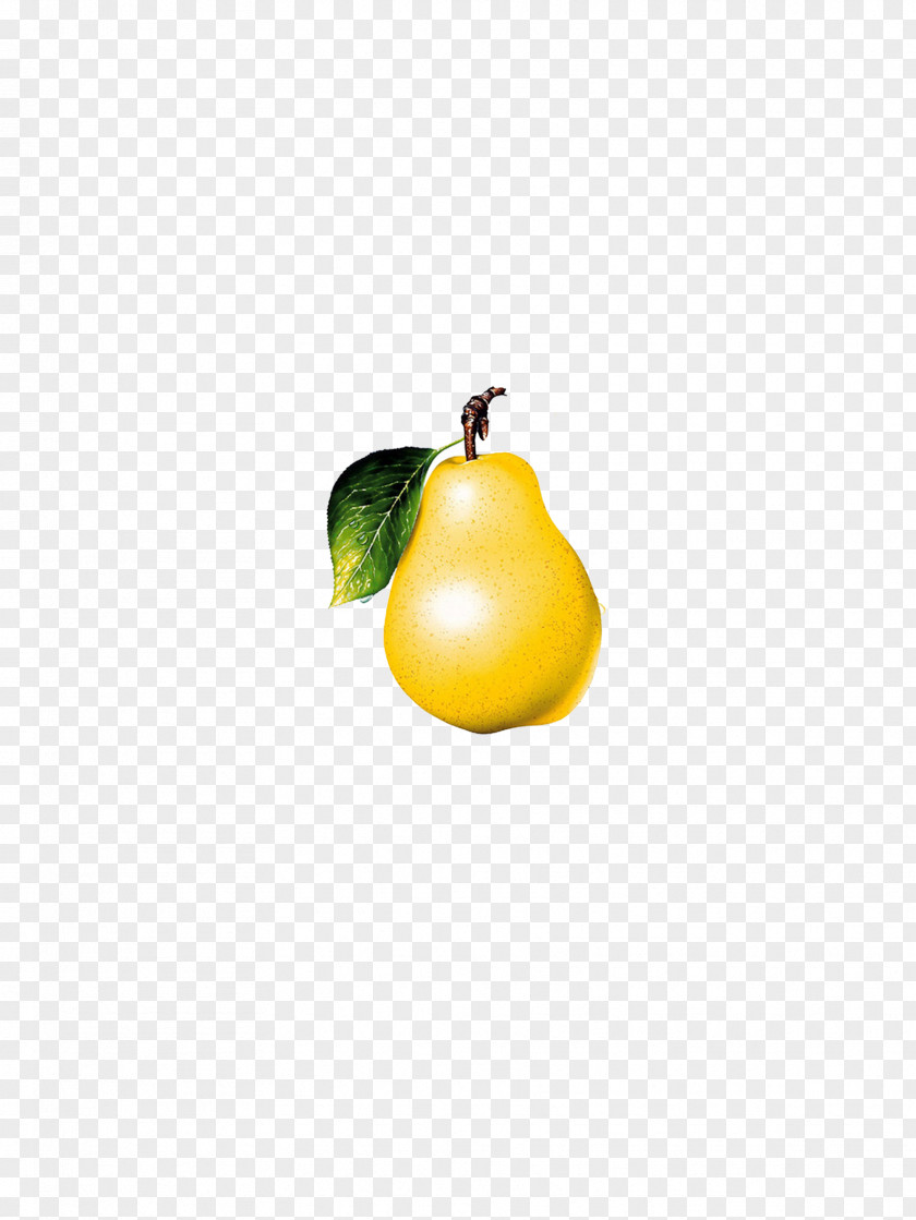 Yellow Pear Pyrus Xd7 Bretschneideri Lemon PNG