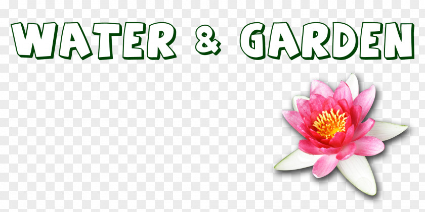 Dog Cut Flowers Water Brand Font PNG