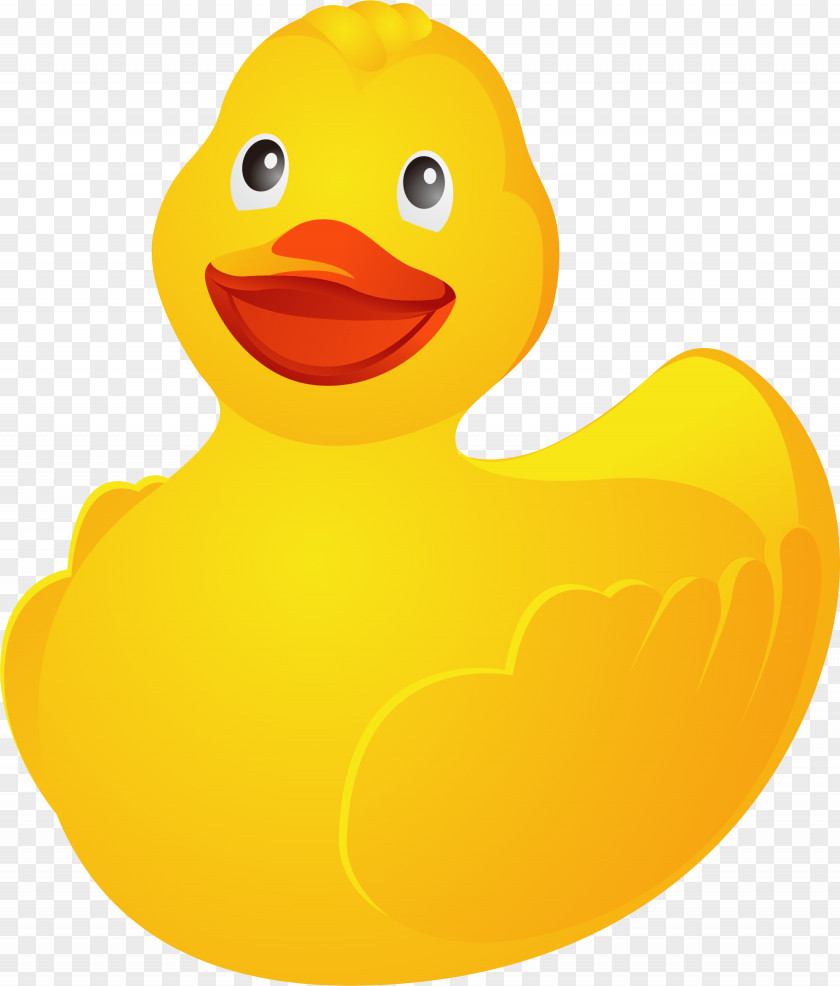 Duck Vector Material Adobe Illustrator Illustration PNG