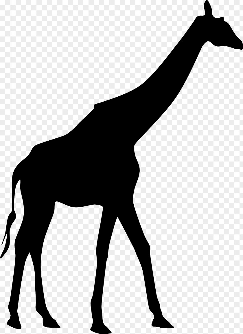 Giraffe Clip Art Vector Graphics Silhouette Stock Photography PNG