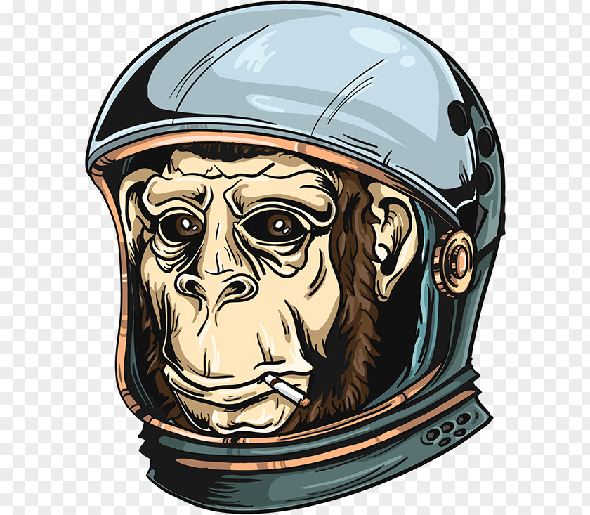 Ham Chimpanzee Ape Bicycle Helmets PNG