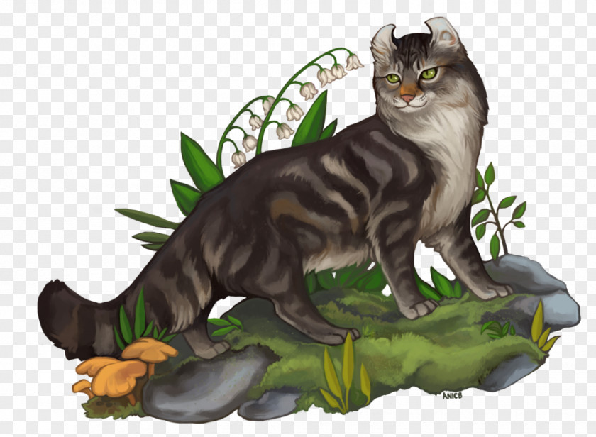 Kitten Whiskers Wildcat Tail PNG