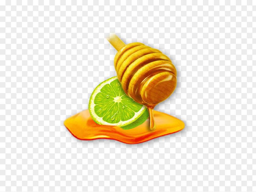 Lemon Lime Citric Acid Orange S.A. PNG