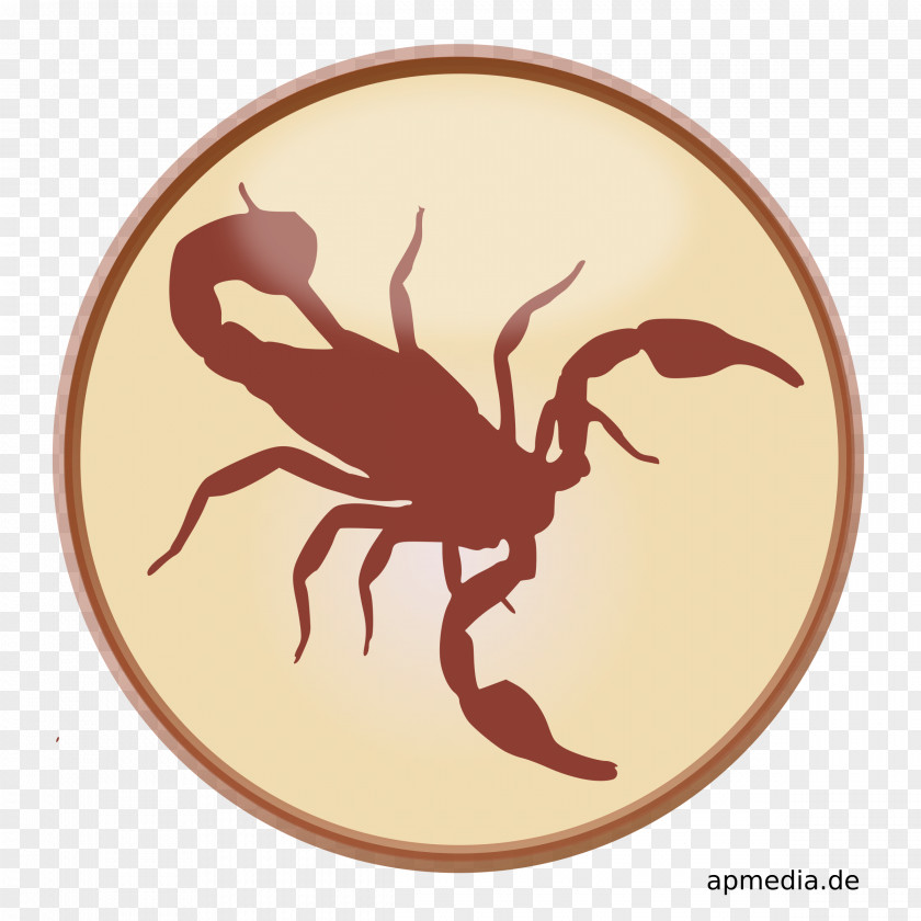 Scorpions Scorpion Clip Art PNG