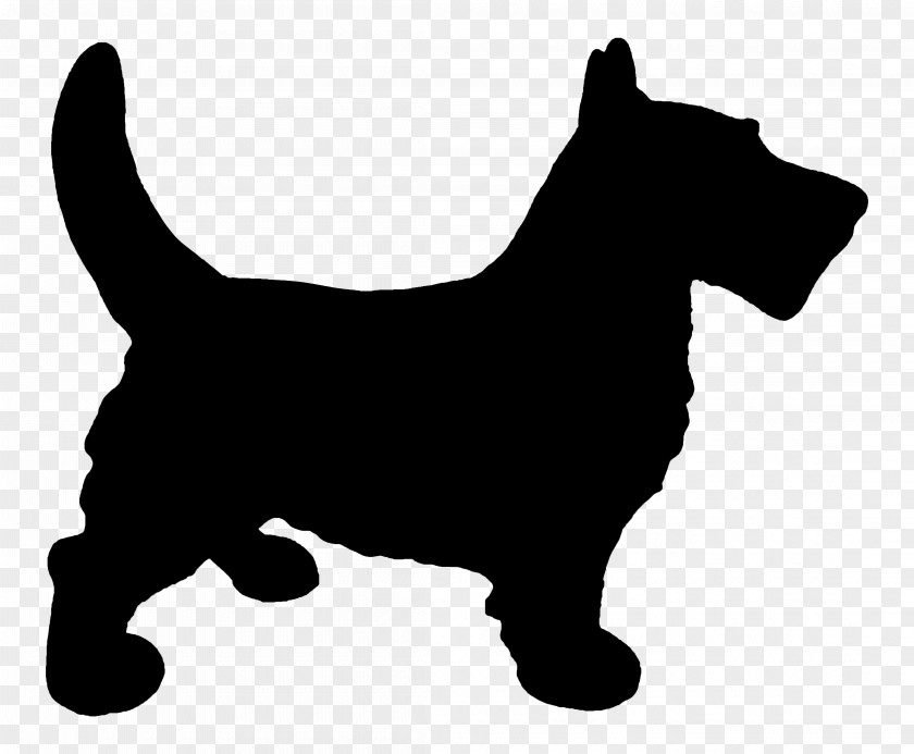 Scottish Terrier Cairn Puppy West Highland White Dog Breed PNG
