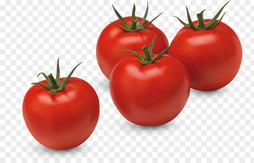 Vegetarian Food Nightshade Family Tomato Cartoon PNG