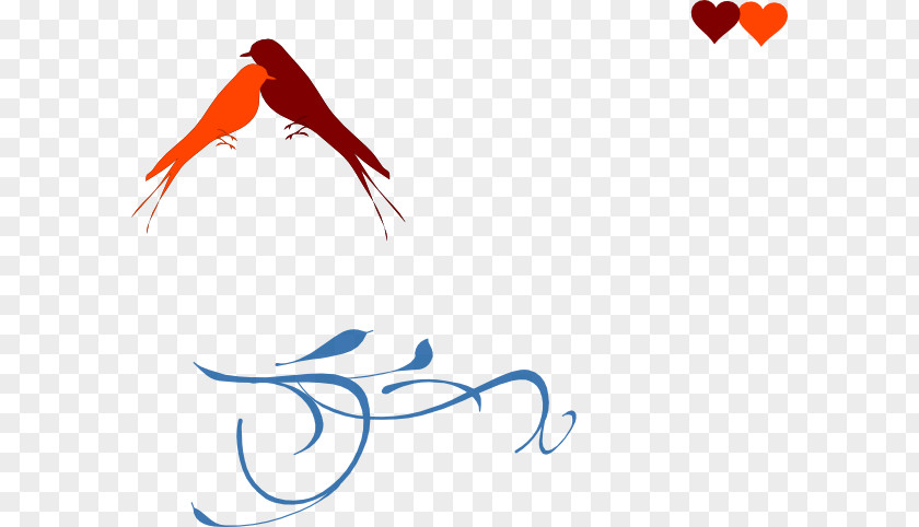 Wedding Lovebird Drawing Clip Art PNG