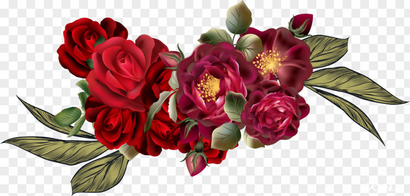 Attractive Rose Garden Roses Floral Design Cabbage Cut Flowers PNG