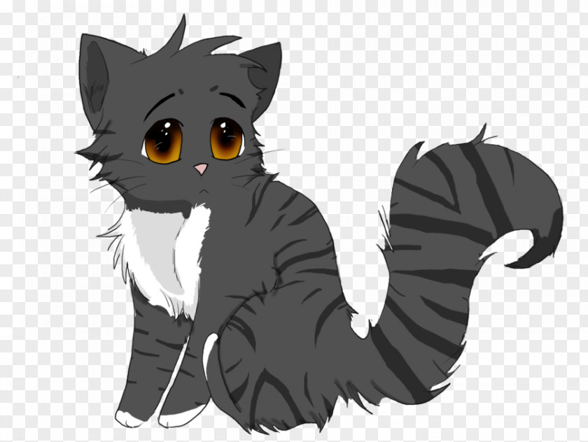 Kitten Whiskers Black Cat Dog PNG