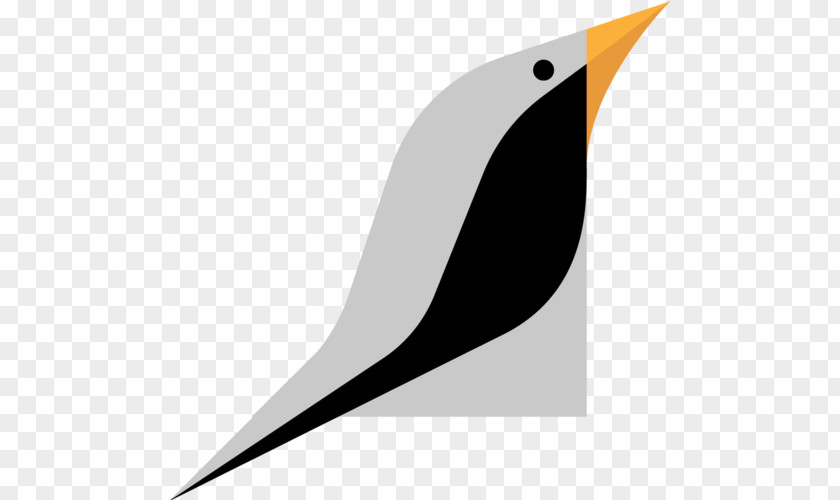 Tech Postcard Bird Beak PNG