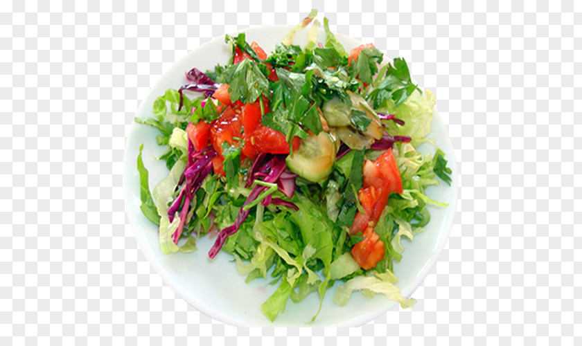Virtues Israeli Salad Meze Kebab Fattoush Recipe PNG