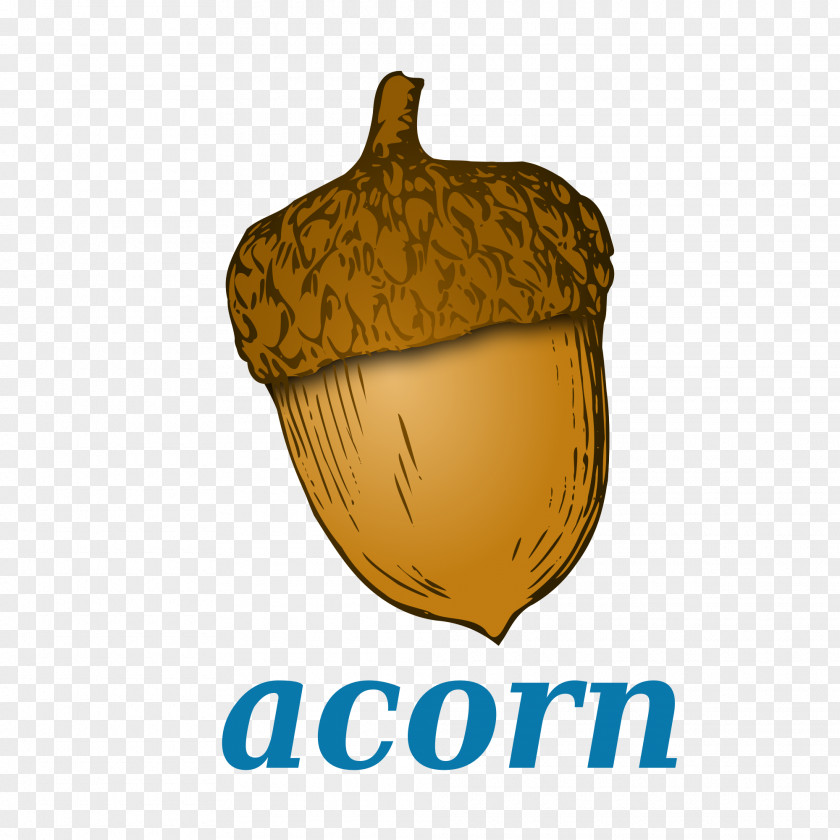 Acorn Clip Art Transparency Image PNG