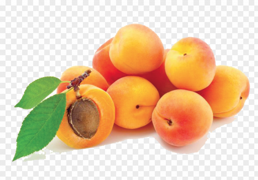 Apricot Photos Fruit Preserves Sugar Almond PNG