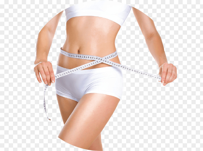 Cryolipolysis Adipose Tissue Weight Loss Human Body High-intensity Focused Ultrasound PNG