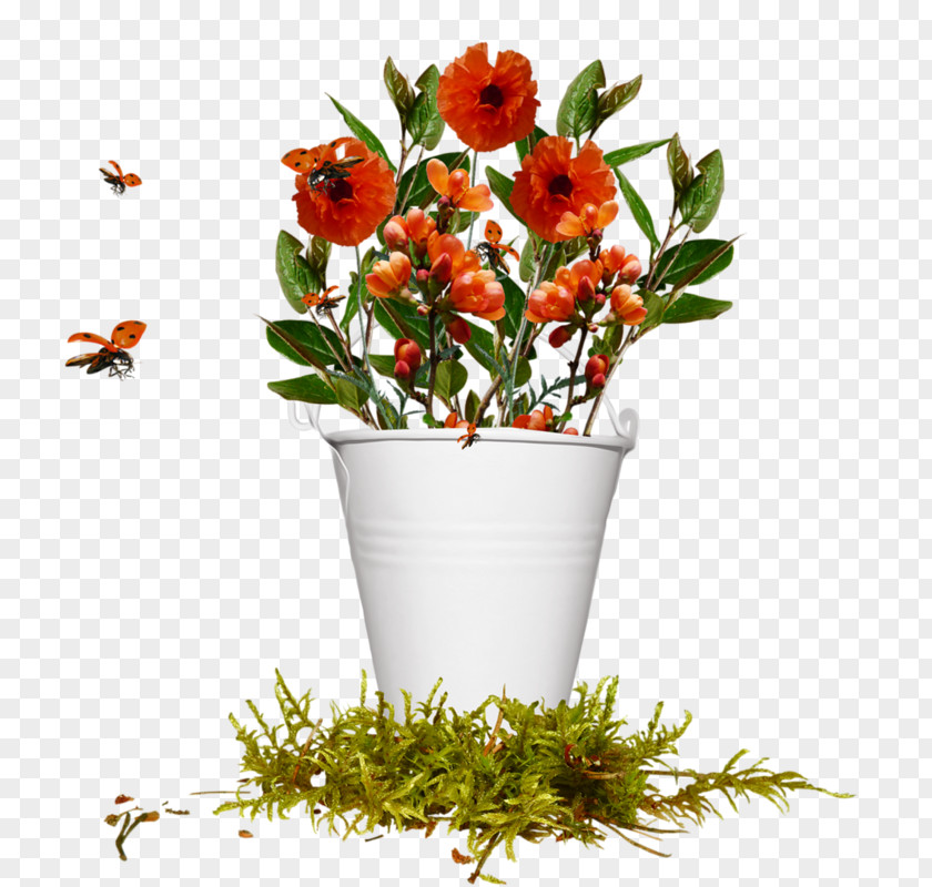 Flower Floral Design PNG