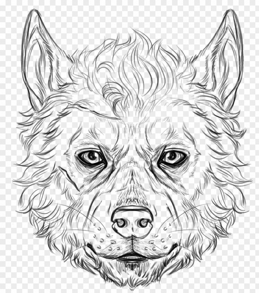Werewolf DeviantArt Drawing Sketch PNG
