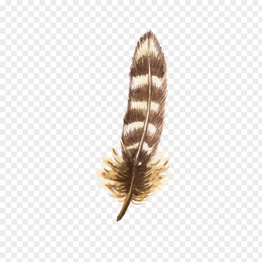 Drawing Feather Bird Euclidean Vector PNG