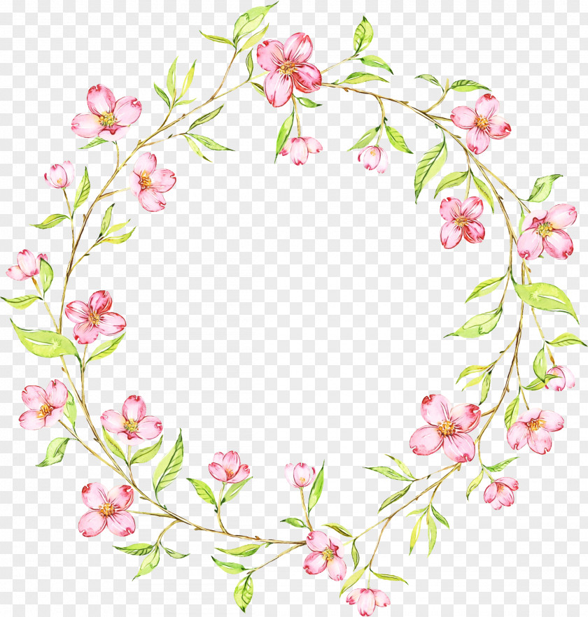 Floral Design Blossom PNG