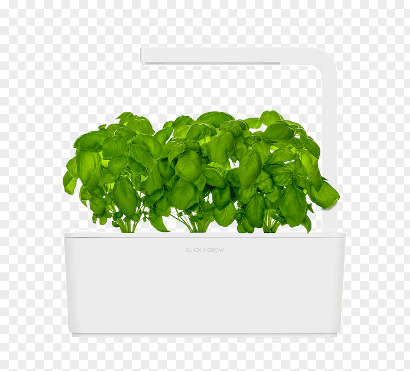 Herb Garden Gardening Click & Grow Growing PNG