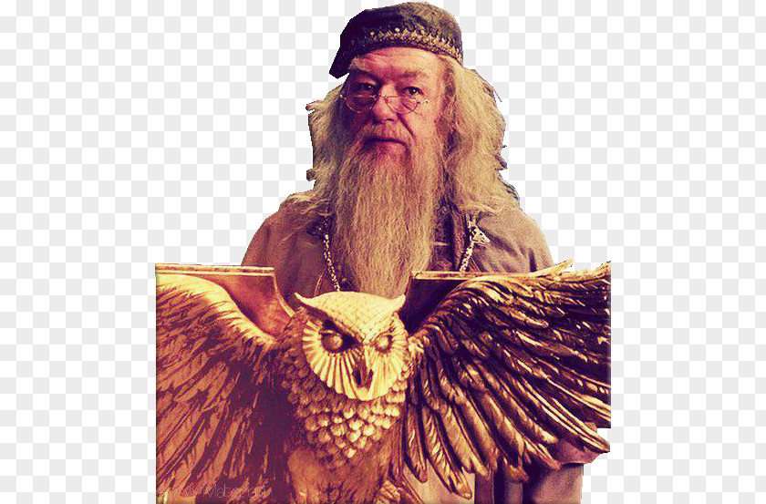 John And Michael Beard Albus Dumbledore Harry Potter The Goblet Of Fire Moustache Film Series PNG