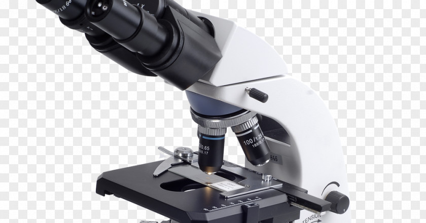 Microscope The Evolution Of Clip Art PNG