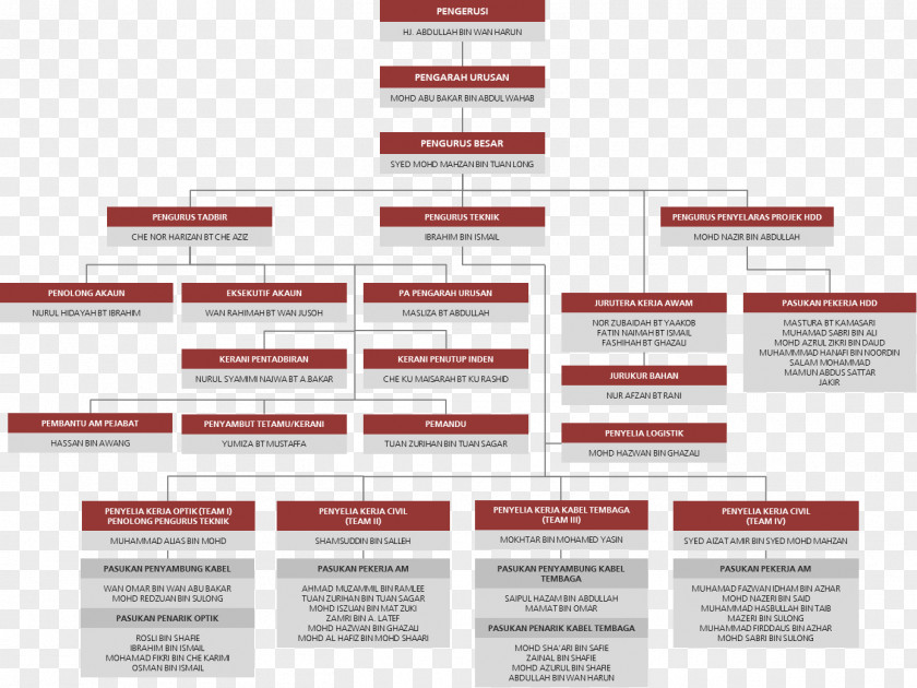 Organization Chart Organizational Diagram Optical Fiber PNG