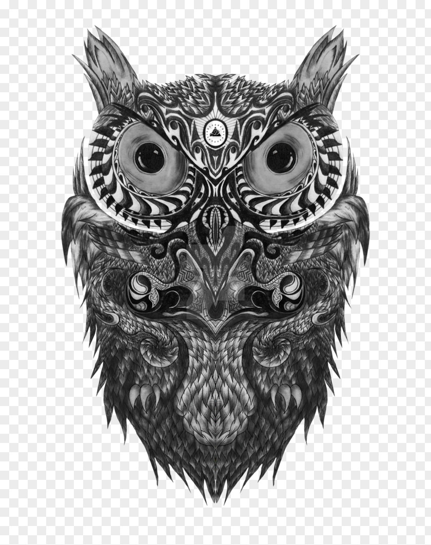Owl Drawing /m/02csf Beak White PNG