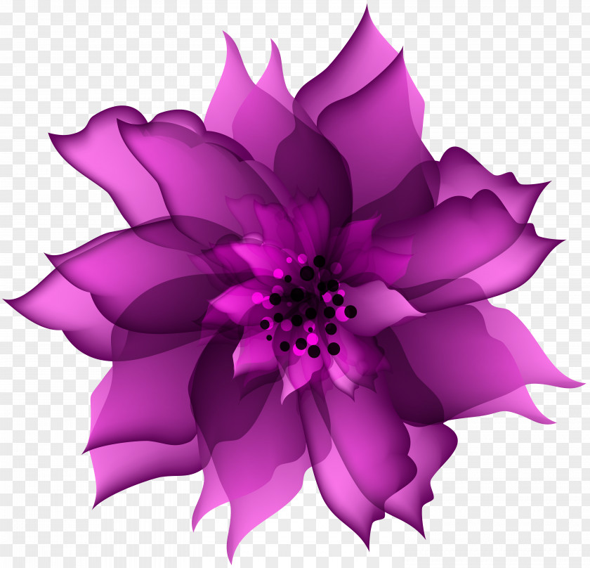 Purple Flower Red Pink Clip Art PNG